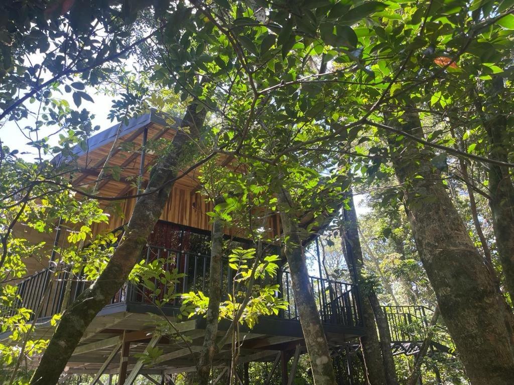 Cabanas Roca Verde Monteverde Esterno foto