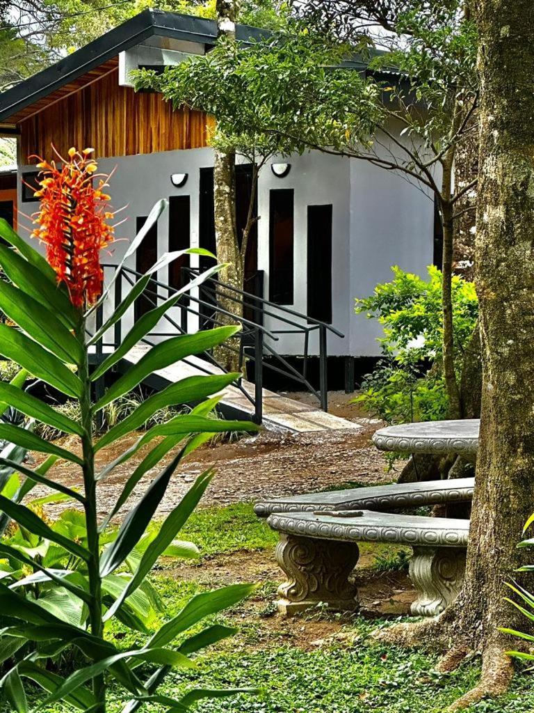 Cabanas Roca Verde Monteverde Esterno foto