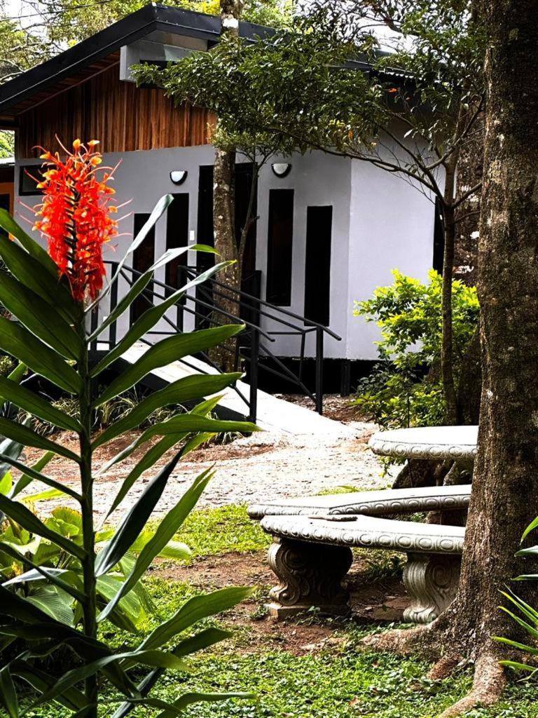 Cabanas Roca Verde Monteverde Esterno foto