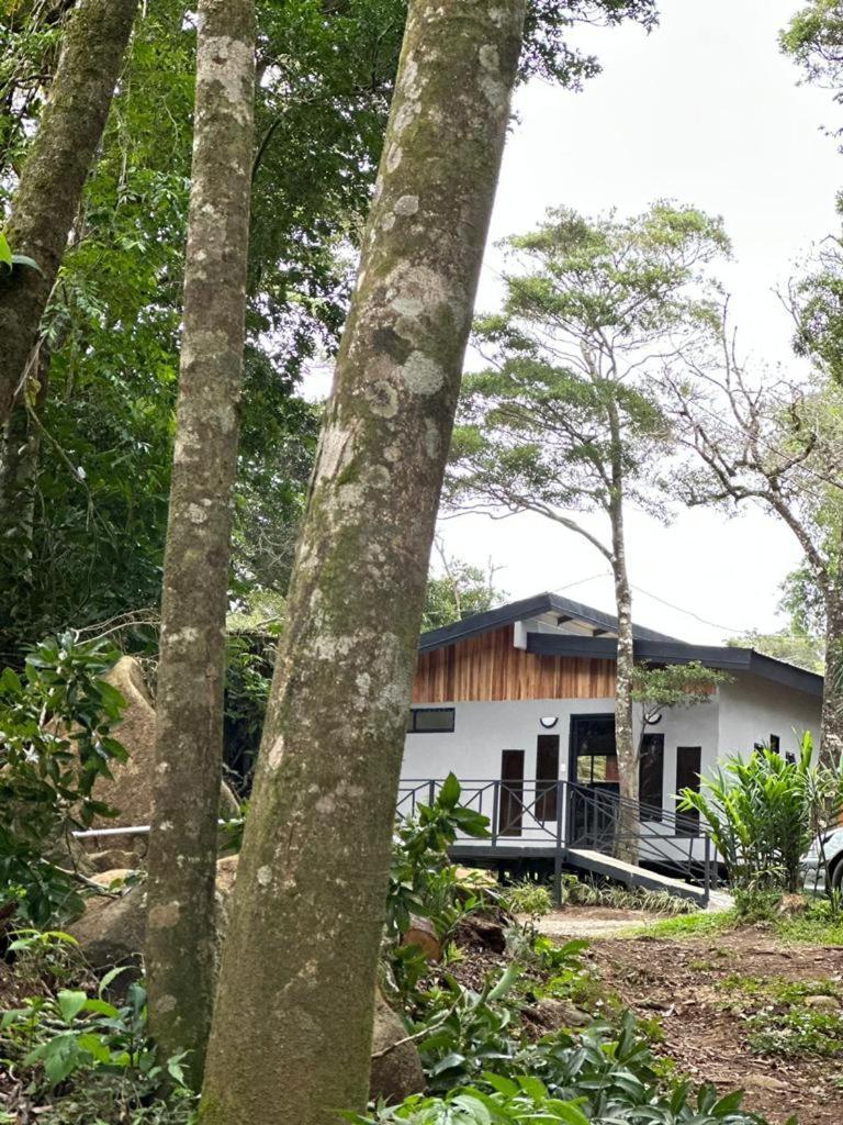 Cabanas Roca Verde Monteverde Esterno foto