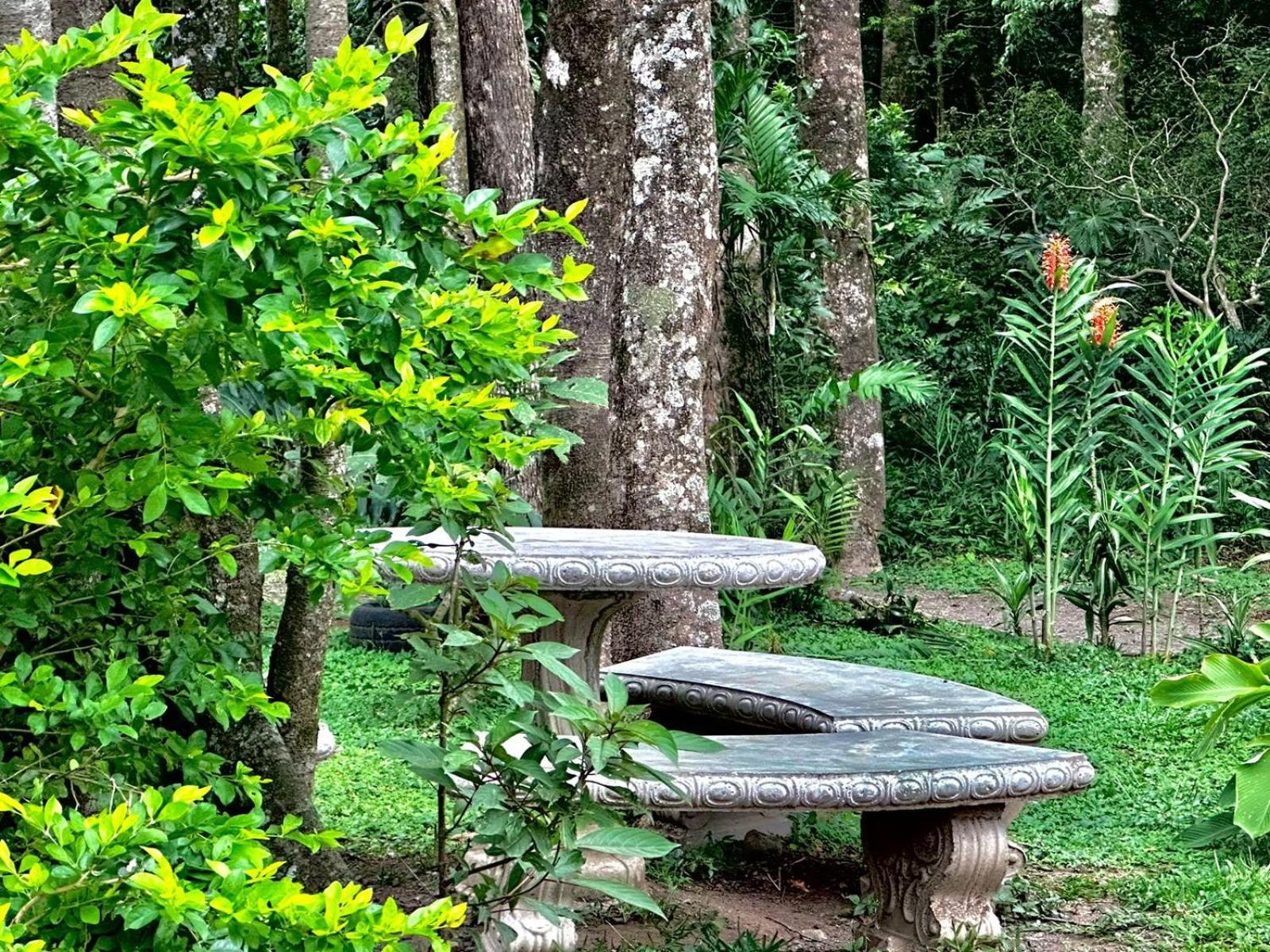Cabanas Roca Verde Monteverde Esterno foto
